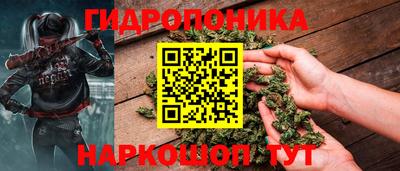 шишки Обнинск